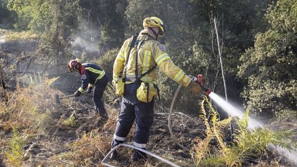 Des pompiers en action sur un incendie en Gironde en août 2022. (ARNAUD DUMONTIER / MAXPPP)