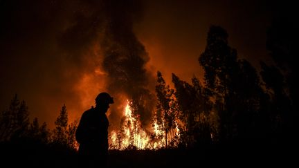 Un pompier lutte contre le feu le 21 juillet 2019 à&nbsp;Amendoa, au Portugal. (PATRICIA DE MELO MOREIRA / AFP)