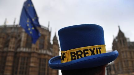 Un chapeau porté par un&nbsp; manifestant anti-Brexit devant le Parlement à Londres (Grande-Bretagne), le 28 février 2019. (ANDY RAIN / EPA)