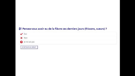 Capture d'écran du questionnaire sur le coronavirus mis en ligne par le gouvernement, le 8 avril 2020. (MINISTERE DE LA SANTE)