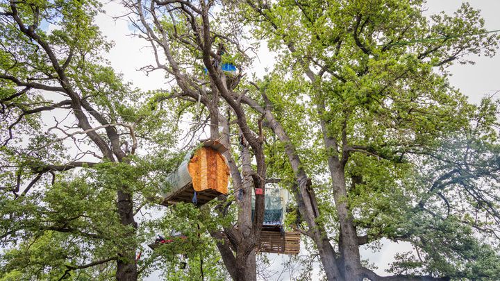 Trees occupied by opponents of the highway project between Toulouse and Castres, in Saïx (Tarn), April 25, 2024. (ISABELLE SOURIMENT / HANS LUCAS / AFP)