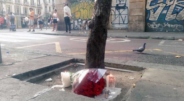 Des fleurs ont été déposées au pied d'un arbre en hommage aux victimes sur les Ramblas rouverte au public vendredi matin. (RADIO FRANCE / BENJAMIN ILLY)