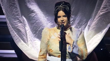 La star américaine Lana Del Rey n'avait plus donné de concert en France depuis sa date à l'Olympia en juillet 2023. (FRED DUGIT / LE PARISIEN / MAXPPP)