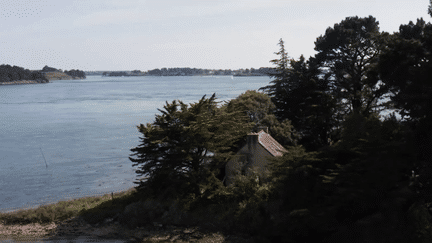 Morbihan : À la découverte de l’île de Creïzic (FRANCE 2)