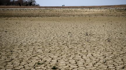 Le lac de Montbel (Ariège), touché par la sécheresse, le 21 février 2023. (VALENTINE CHAPUIS / AFP)