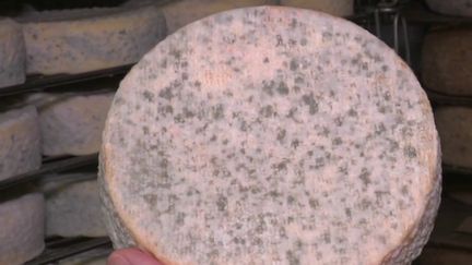 Vosges : quand un nouveau fromage naît du confinement