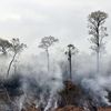 De la fumée s'échappe des feux de forêt dans le parc national Otuquis, en Bolivie, le 26 août 2019. (AIZAR RALDES / AFP)