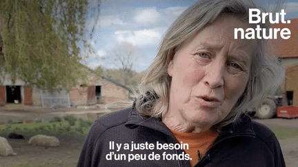 À Chantenay-Saint-Imbert, Dominique Mauer s’occupe de 850 animaux qu’elle a sauvés. Porté depuis 15 ans par des dons privés, son domaine est aujourd’hui menacé par manque de moyens financiers.