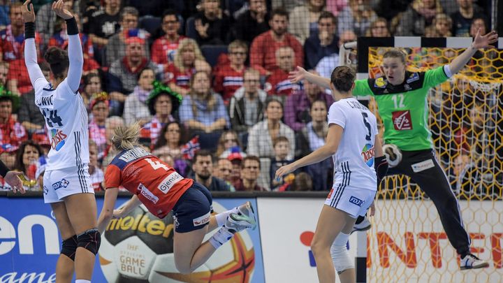 La muraille française Amandine Leynaud, lors de la finale du Mondial 2017 contre la Norvège, le 17 décembre à Hambourg. (AXEL HEIMKEN / DPA)