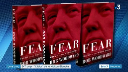 Le livre de Bob Woodward sur Donald Trump (France 3)