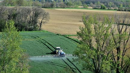 Quelque&nbsp;55 000 hectares de terres agricoles changent d'usage chaque année, selon la&nbsp;FNSafer. (REMY GABALDA / AFP)