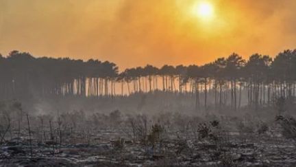 Incendies en Gironde : une accalmie, mais toujours un risque de reprise