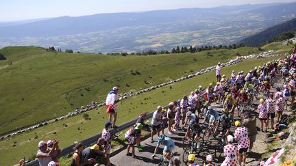 Les coureurs du Tour de France, le 17 juillet 2016 dans le Grand Colombier (Ain). (DE WAELE TIM / TDWSPORT SARL / AFP)