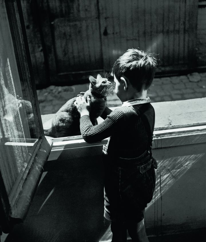 "Les chats" de Willy Ronis page 91
 (Ronis-Flammarion)