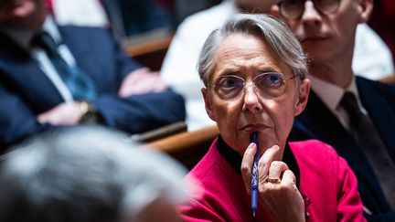 La Première ministre Elisabeth Borne, depuis le banc des ministres à l'Assemblée nationale, le 5 avril 2023. (XOSE BOUZAS / HANS LUCAS / AFP)