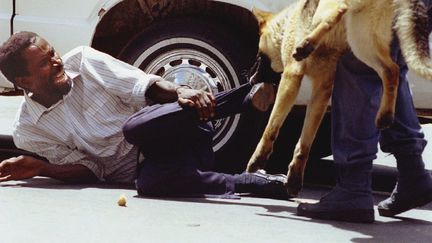 &nbsp; (Un manifestant noir face à un chien policier en 1993 à Johannesburg©REUTERS/Dylan Martinez)