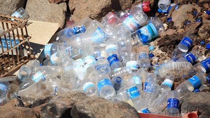 Des bouteilles en plastiques jetés dans la nature. (MAXPPP)