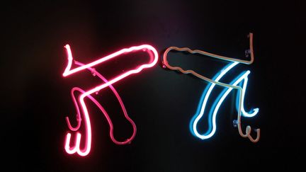 Bruce Nauman, &laquo; Big Welcome &raquo; (&laquo; Un accueil chaleureux &raquo;), 1985. (ELODIE DROUARD / FTVI)