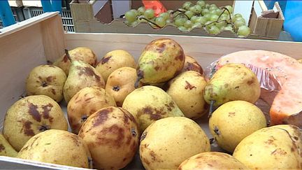 les glaneurs au marché