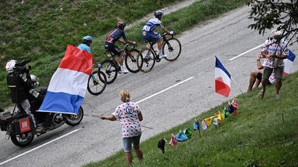 Des drapeaux tricolores le long de la route du Tour de France, le 16 septembre 2020. (ANNE-CHRISTINE POUJOULAT / AFP)