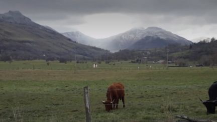 Cantal&nbsp; (FRANCEINFO)