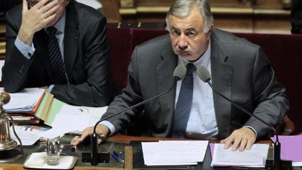 Le président du Sénat, Gérard Larcher (21-10-2010) (AFP - JACQUES DEMARTHON)