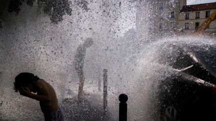 La ville de Paris lance vendredi une application pour téléphones portables "spéciale canicule". Photo d'illustration. (LAURENT EMMANUEL / AFP)