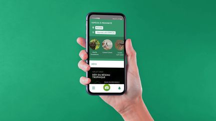 Ces applis qui ont changés nos vies : Seek iNaturalist (FRANCEINFO)