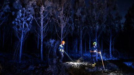 Des sapeurs-pompiers autrichiens oeuvrent dans la forêt près de Belin-Béliet.&nbsp; (THIBAUD MORITZ / AFP)