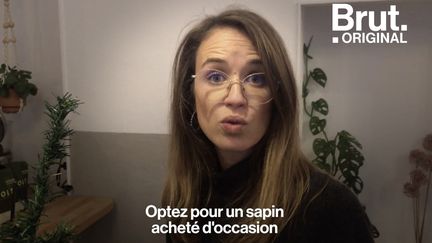 Julie Laussat, autrice du livre "Mon Noël écolo" livre ses conseils pour choisir un sapin tout en réduisant son impact sur l'environnement.