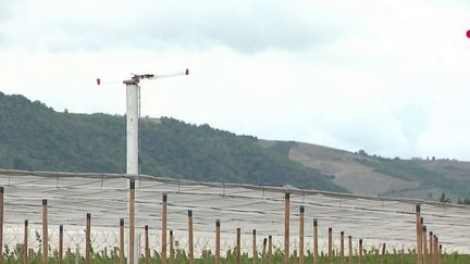 Après des températures douces, le retour du froid et du gel inquiète les arboriculteurs.