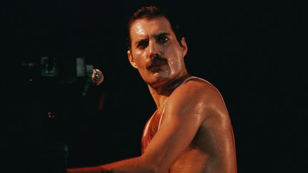 Freddie Mercury, leader de Queen, sur scène en 1980.
 (The picture-alliance //MaxPPP)