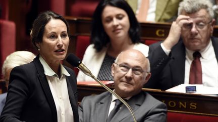 La ministre de l'Ecologie, S&eacute;gol&egrave;ne Royal, le 18 juin 2014 &agrave; l'Assembl&eacute;e nationale. (ERIC FEFERBERG / AFP)