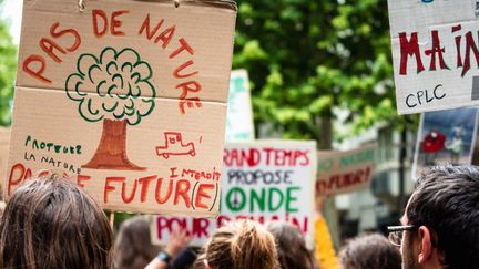 Une manifestation pour le climat à Perpignan en 2019. (ARNAUD LE VU / HANS LUCAS)