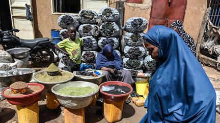 Une femme passe devant un étal sur un marché de Niamey, le 8 août 2023. (AFP)