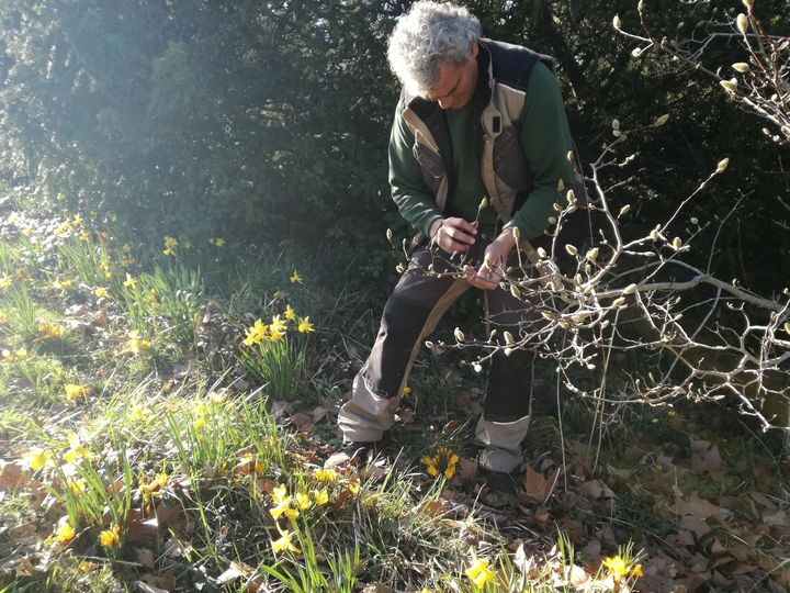 Houcine Hadj-Youcef, le responsable de l’arboretum de la Vallée-aux-Loups (Hauts-de-Seine), craint un coup de gel. (RADIO FRANCE / MARIE-JEANNE DELEPAUL)