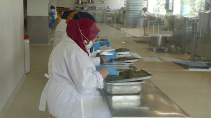 Dans un atelier des Moulins Mahjoub à Teboura, à 30 km à l'ouest de Tunis, le 17 octobre 2019 (FTV - Laurent Ribadeau Dumas)