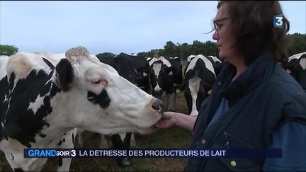 La détresse des producteurs de lait