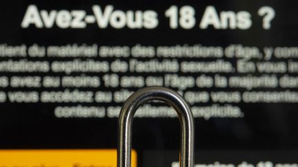 Quatre sites pornographiques ont été bloqués en France en novembre 2024 pour ne pas suffisamment vérifier l'âge de leurs utilisateurs. (photo d'illustration) (JOAO LUIZ BULCAO / HANS LUCAS / AFP)