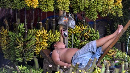 Un vendeur de bananes fait son stand au march&eacute; de Tangerang (Indon&eacute;sie), le 1er mars 2013. (BAY ISMOYO / AFP)