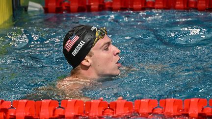 Coupe du monde de natation : pour sa première course depuis les JO, Léon Marchand meilleur temps des séries du 100 m 4 nages à Shanghai