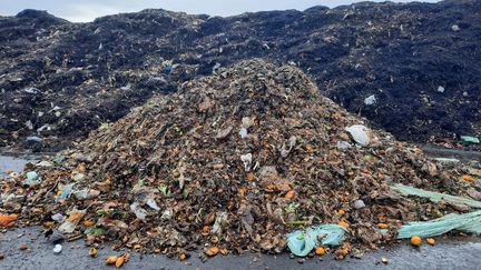 The compost recovered on the Racine company platform (in its initial state in the foreground, then in fermentation in the background) (MATHILDE IMBERTY / RADIOFRANCE)