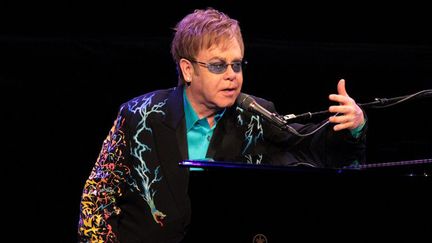 Elton John en concert 
 (Valeriy Melnikov / RIA NOVOSTI)