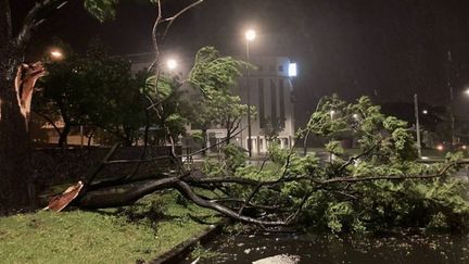 Le cyclone Batsirai frappe actuellement l'île de La Réunion.&nbsp; (CAPTURE ECRAN FRANCE 2)