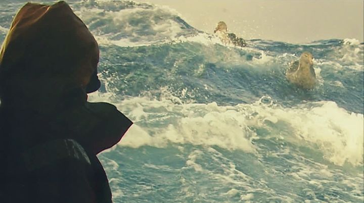 Un marin contemplant la mer
 (France 3 / Culturebox / capture d&#039;écran)