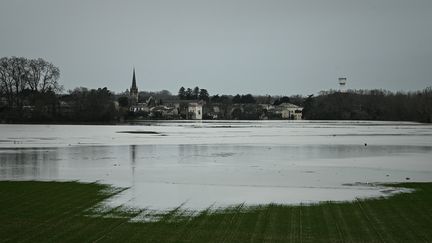 Des champs inondés par la crue de la Garonne en Gironde, le 3 février 2021. (PHILIPPE LOPEZ / AFP)