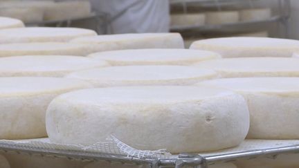 Côte-d’Or : l’abbaye de Cîteaux fait un carton en vendant ses fromages en ligne