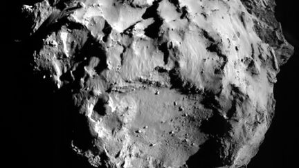 Une image de la com&egrave;te "Tchouri" envoy&eacute;e par le robot Philae, le 12 novembre 2014. (ESA/ROSETTA/PHILAE/AFP)