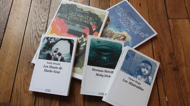 Les Classiques abrégés de L'école des loisirs, avec les versions grand formats illustrés (Laurence Houot / franceinfo Culture)