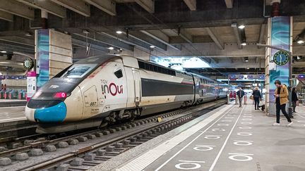 Un TGV dans la gare Montparnasse, le 17 février 2024 à Paris. Image d'illustration. (RICCARDO MILANI / HANS LUCAS)